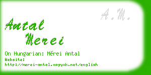antal merei business card